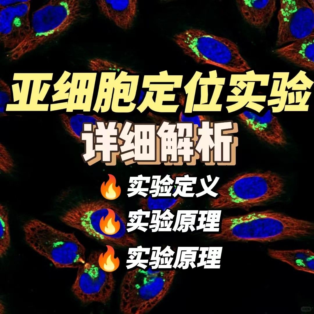 亚细胞定位实验是什么？