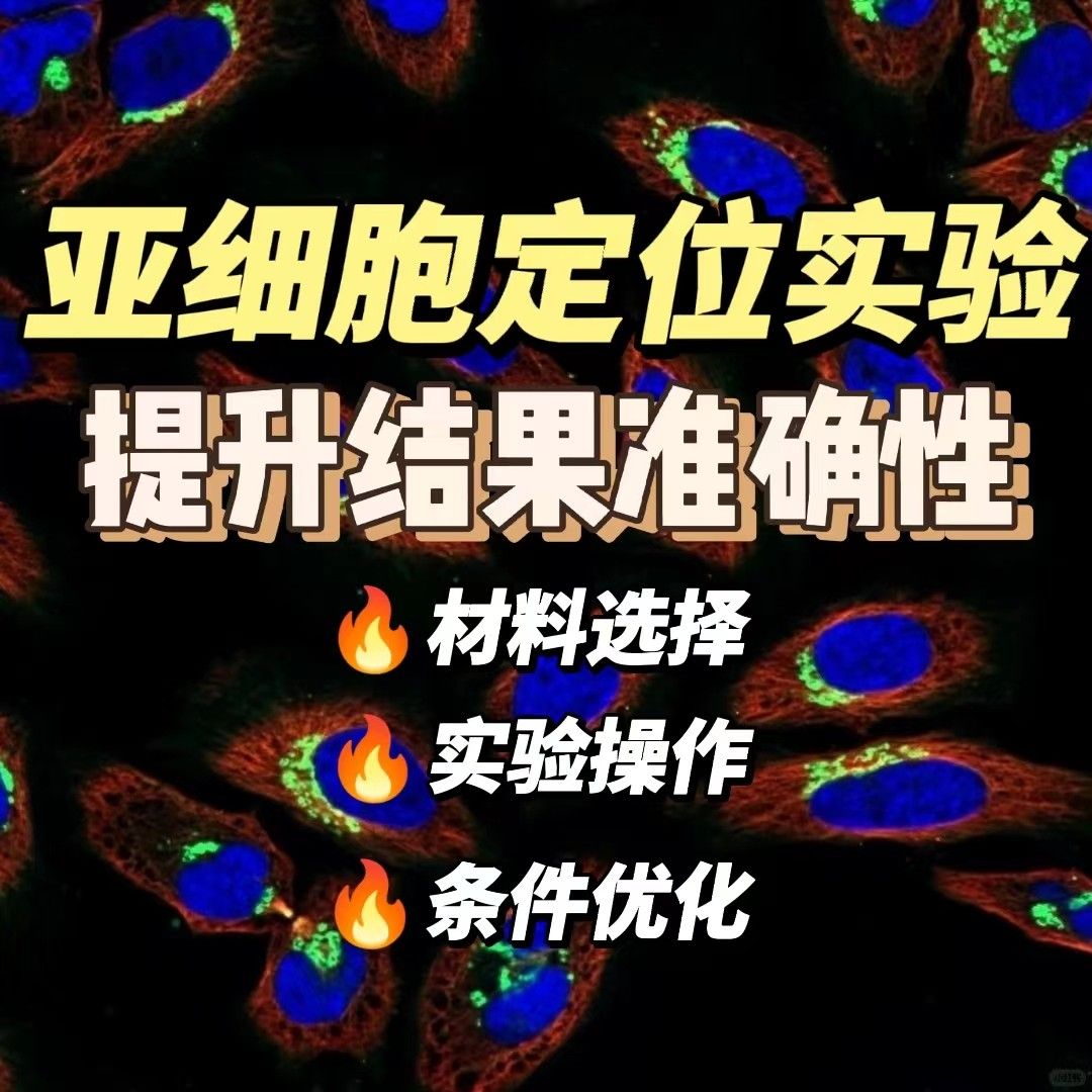 探讨如何优化亚细胞定位实验的设计以提高结果的准确性