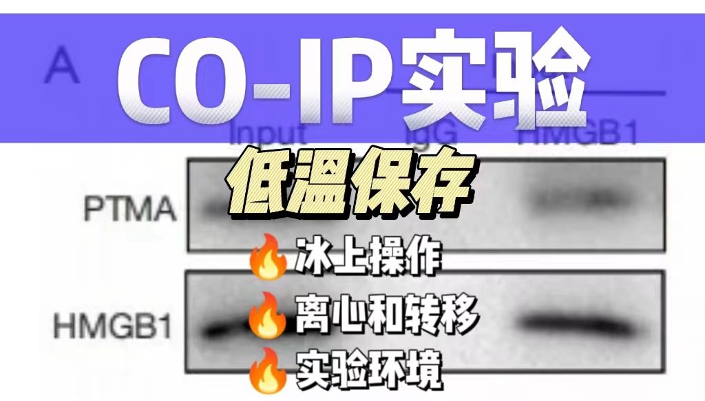 实验过程中，如何确保样品的低温处理？