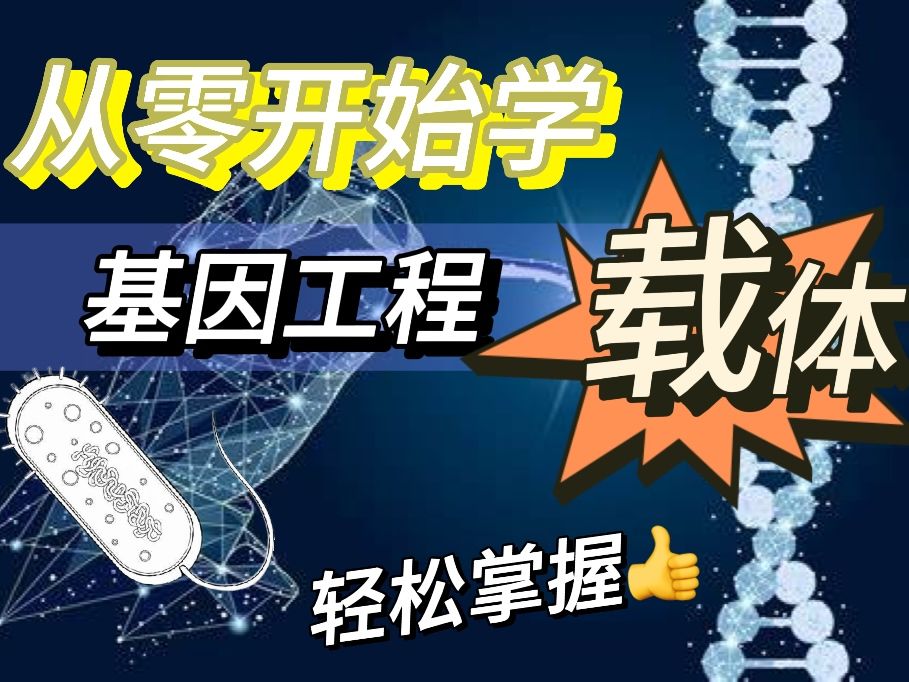 原核表达载体和真核表达系统及其载体