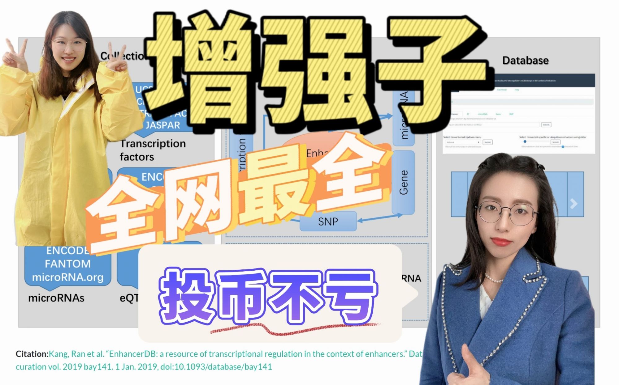 增强子操作