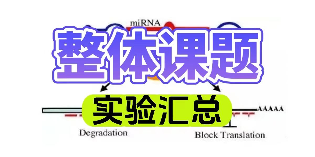 整体课题实验汇总
