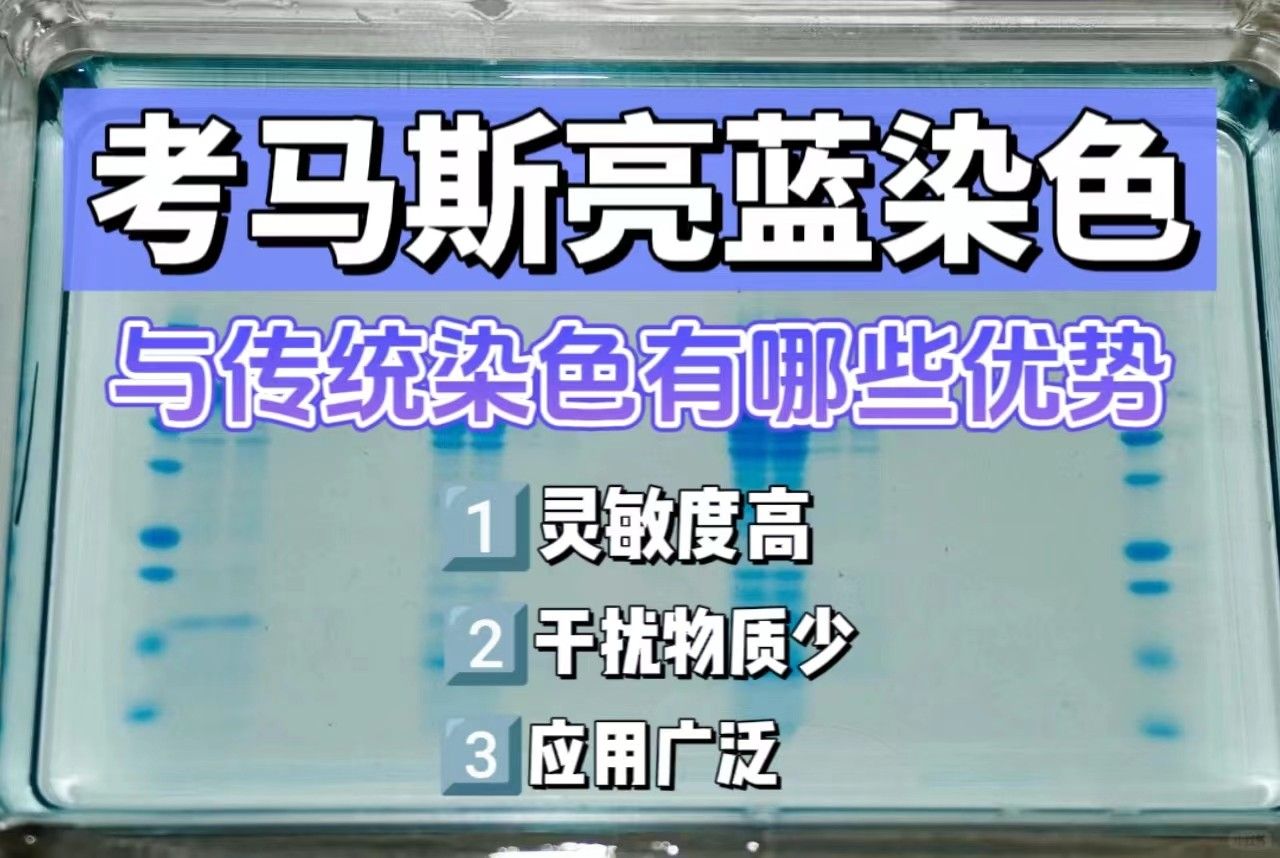 与传统染色相比，考马斯亮蓝染色有哪些具体优势？