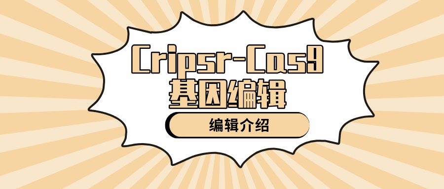 Crispr/Cas9基因编辑介绍