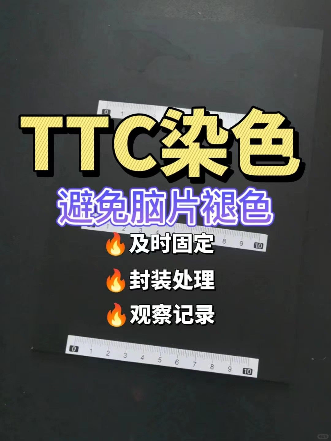 TTC染色后怎样避免脑片褪色？