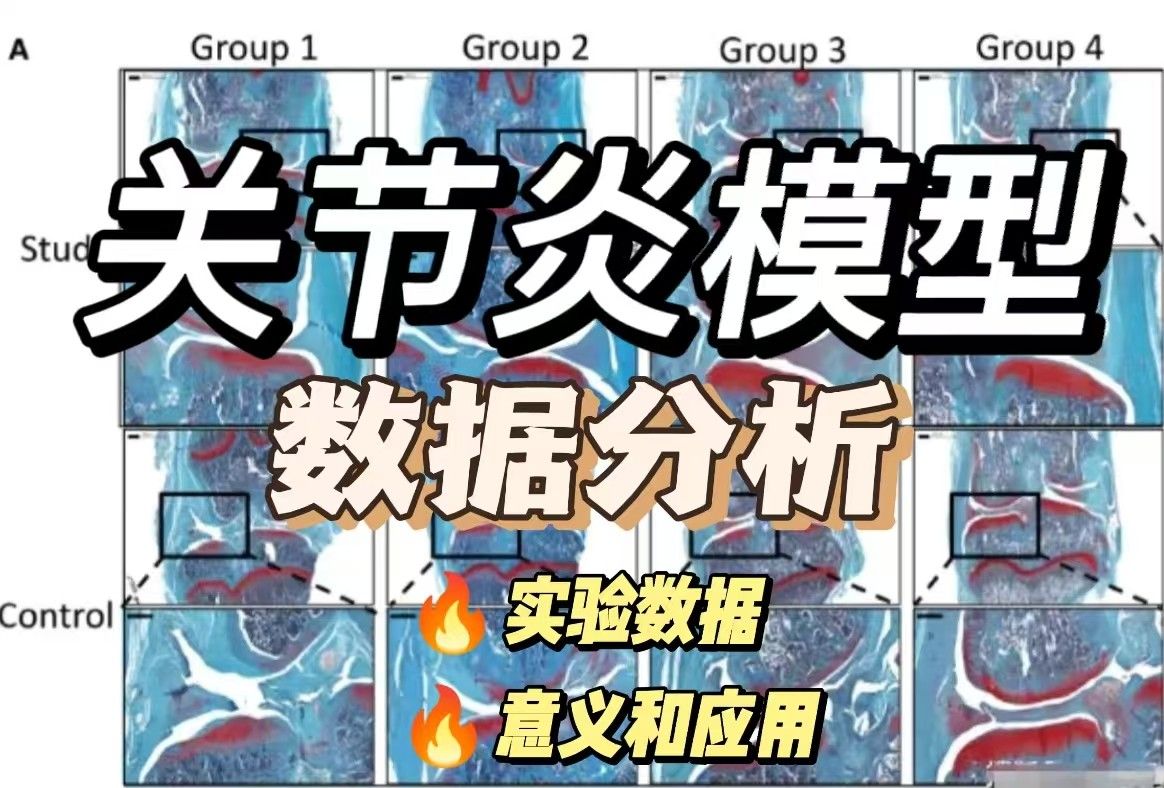 关节炎模型实验数据应该怎么分析？【入门到精通】