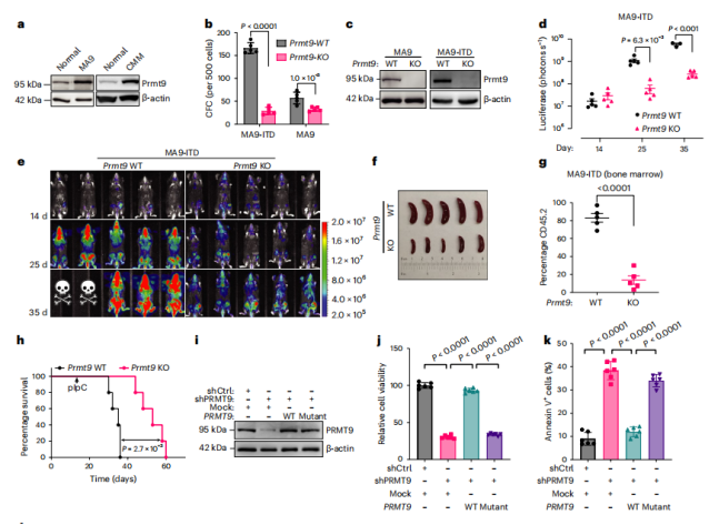 实验中如何使用过表达，RNAi,CRISPR技术有效调控基因表达