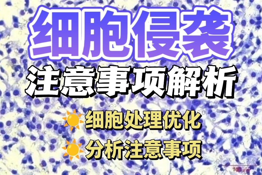 零基础掌握原代细胞分离培养与鉴定 | 手把手Protocol