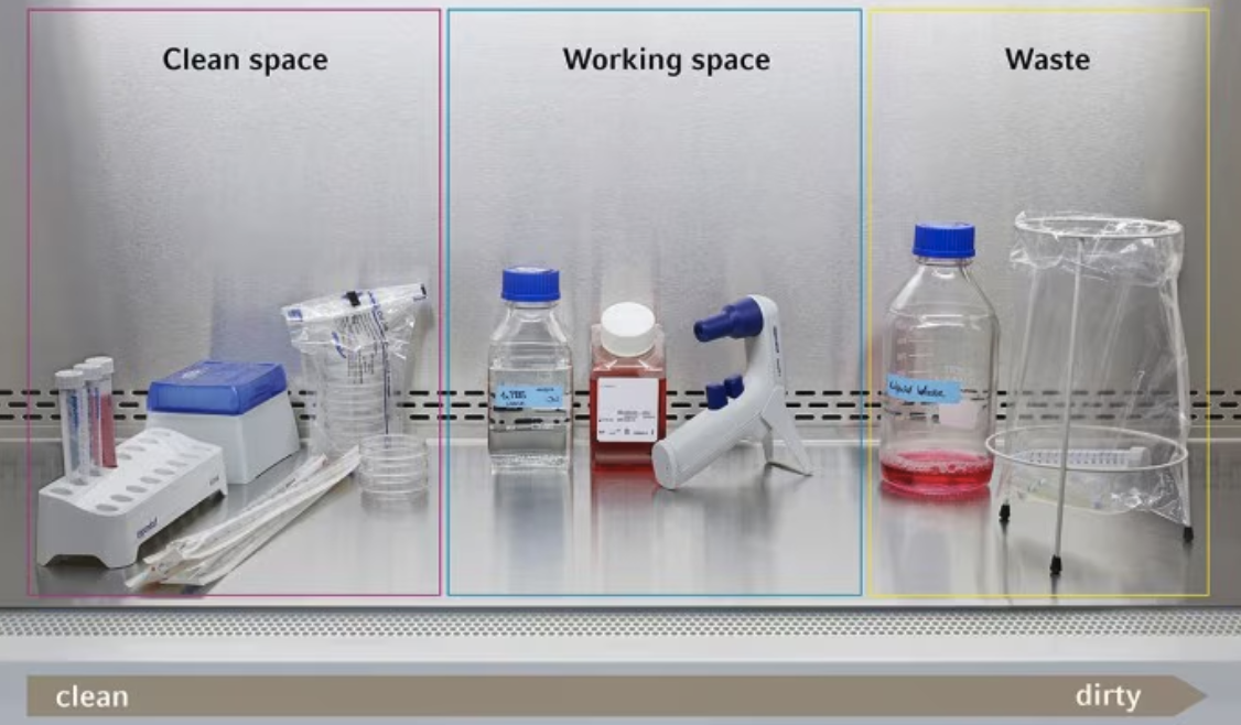 生物安全柜内如何科学分区摆放工具