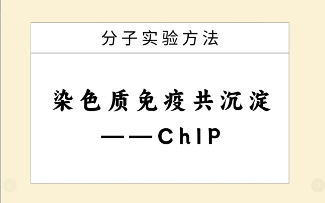 ChIP 实验怎么做？完整步骤解析与操作指南
