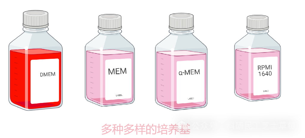 养了这么久细胞，才知道细胞培养基居然有这么多花样？