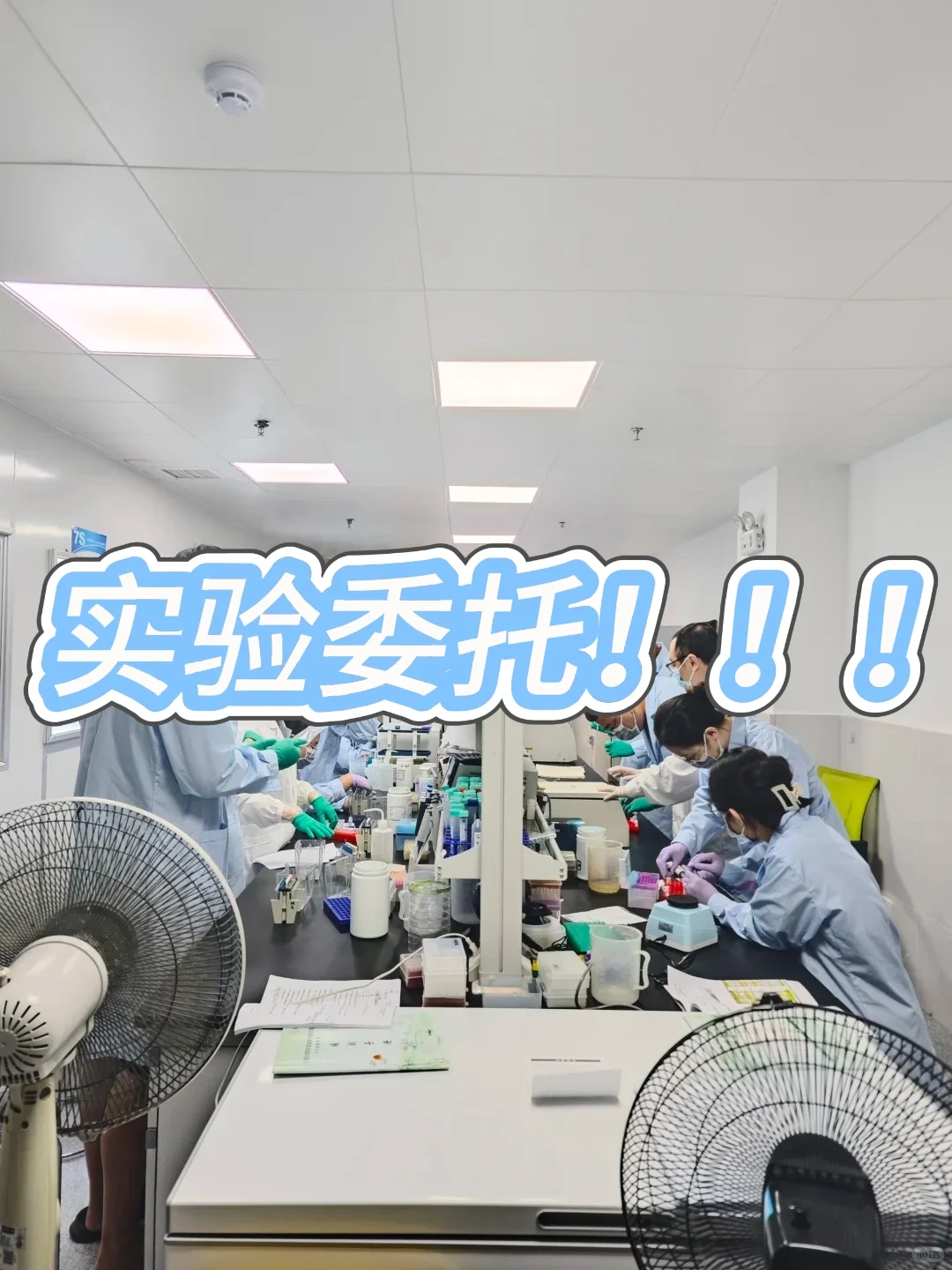噗啦噗啦实验室实验外包服务