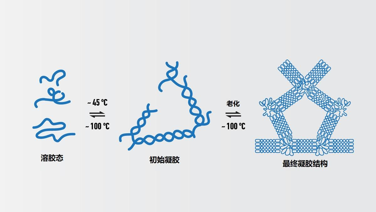 琼脂糖凝胶电泳的实验原理及配制步骤