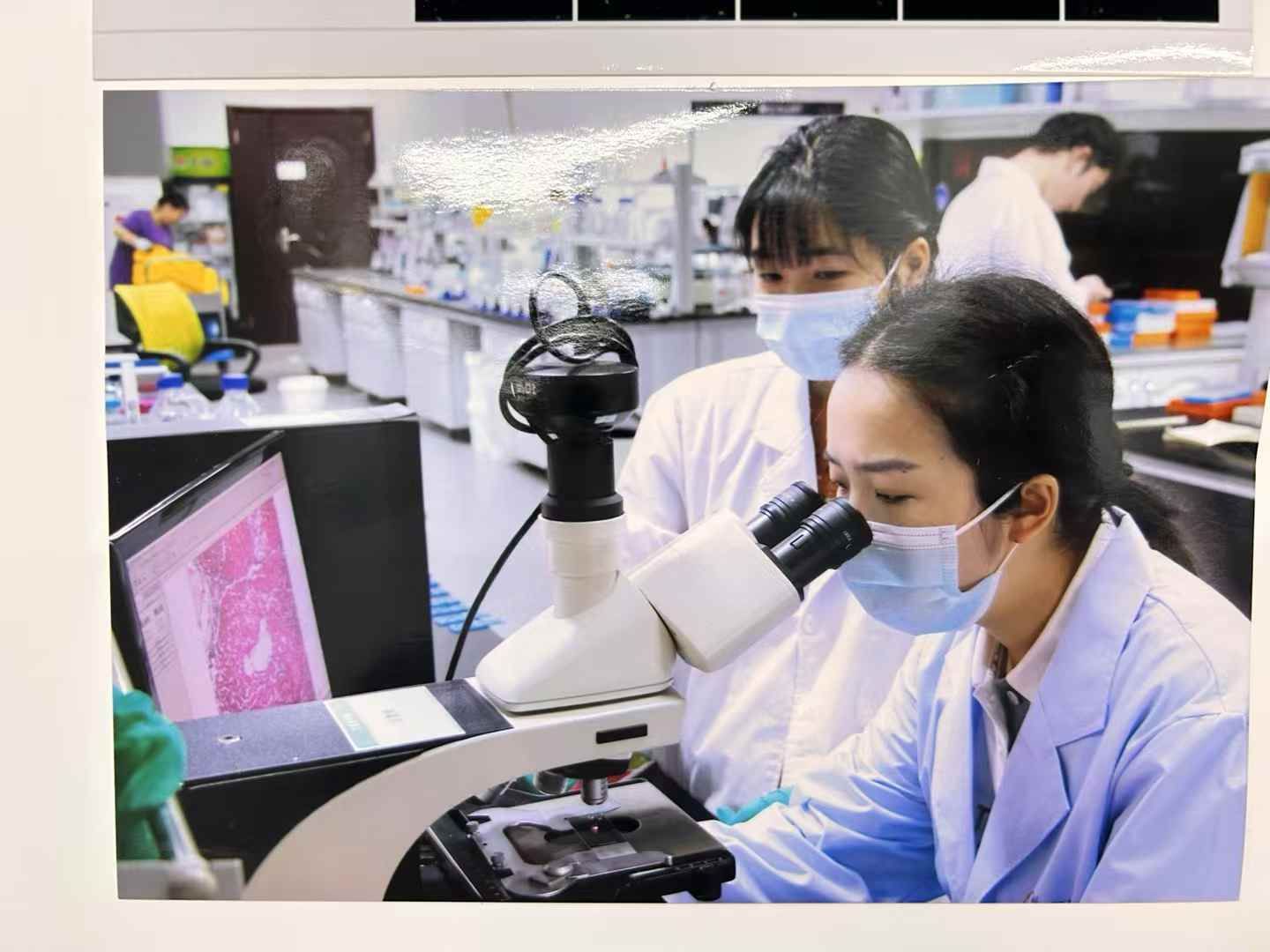 做WB实验注意，小心这些有毒试剂！