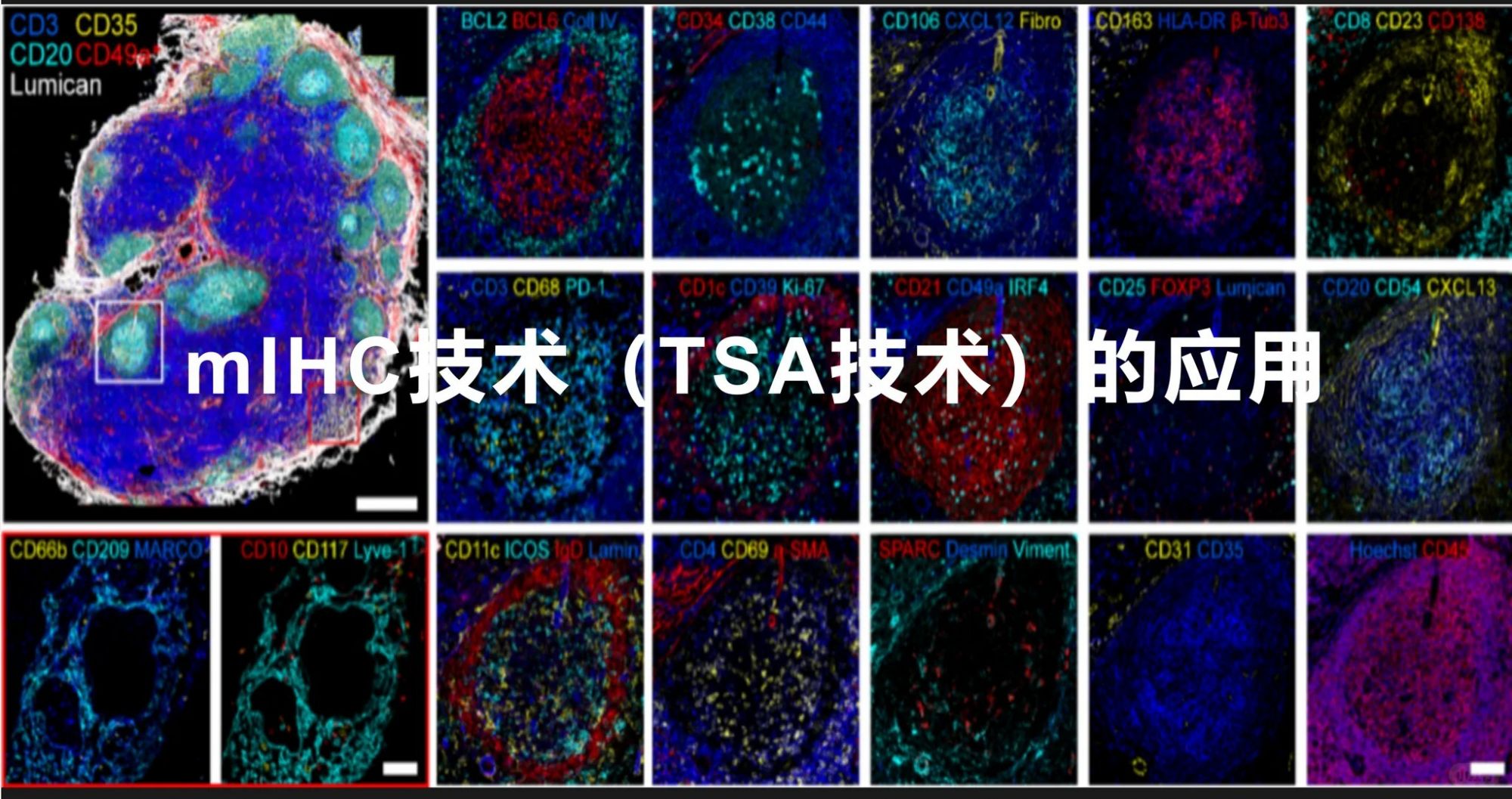 高端技术，飞入寻常百姓家